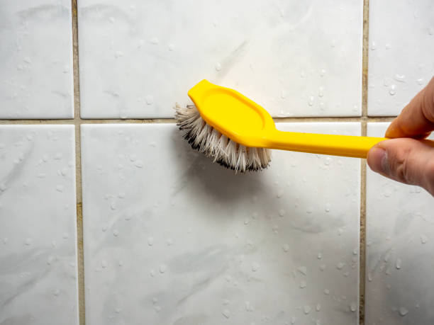 Best Mold Removal Process  in Franconia, VA
