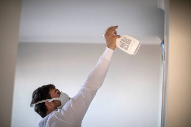 Best Best Mold Removal Companies  in Franconia, VA