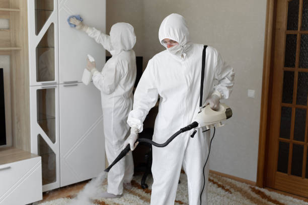 Best Residential Mold Removal  in Franconia, VA
