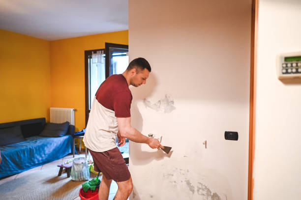 Best Water Damage Restoration  in Franconia, VA